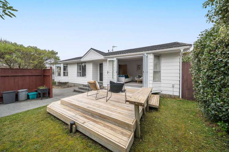 10 Mallard Grove Churton Park_19