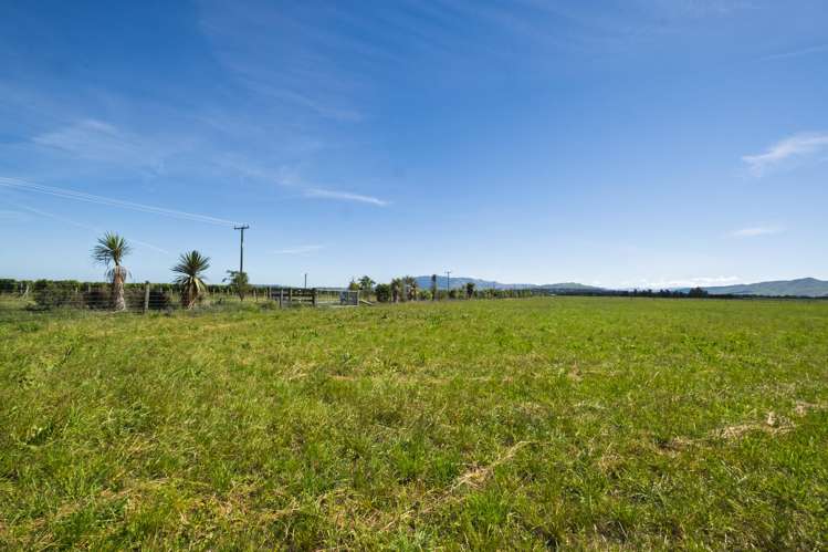 136 Purchas Road Amberley_6