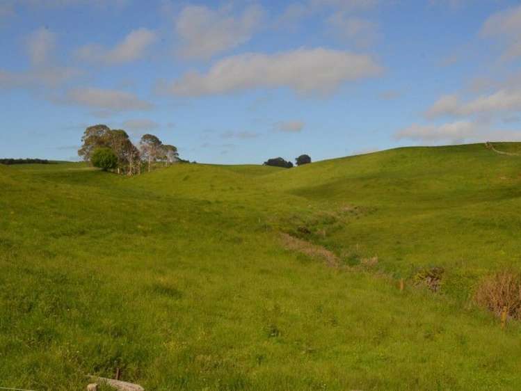 1035 Bayley Road Wharepuhunga_16