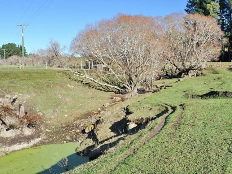 350 Scargill Valley Road Greta Valley_18