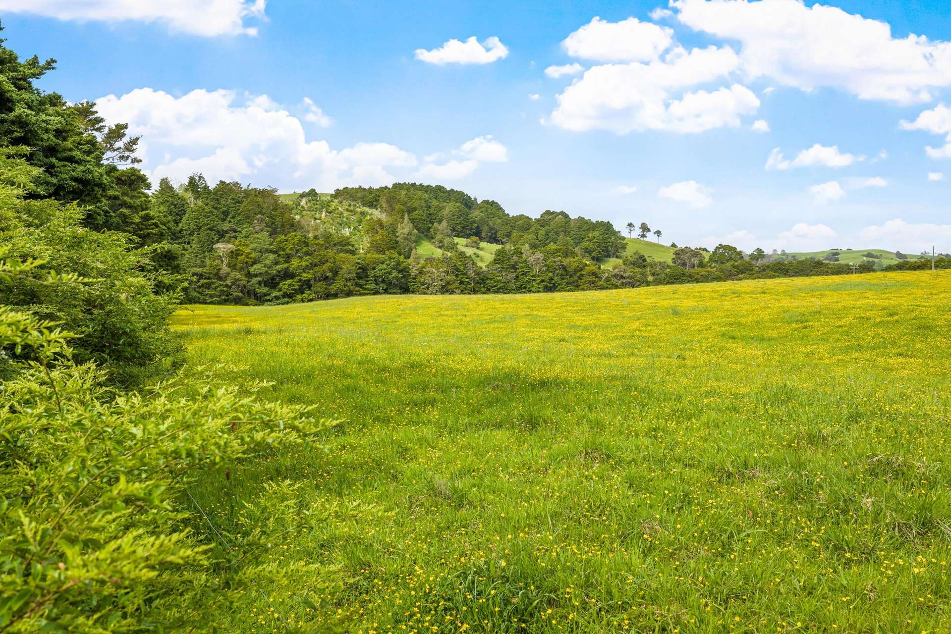 723 Whangaripo Valley Road Whangaripo_0