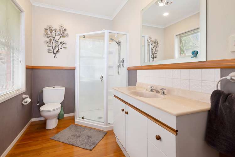 61 Mcdowell Street Springfield_5