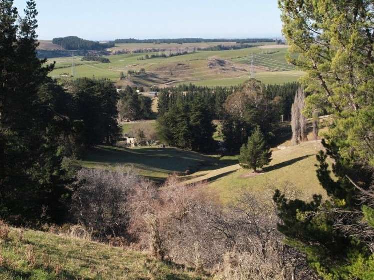 20 Three Mile Bush Road Pleasant Point_16