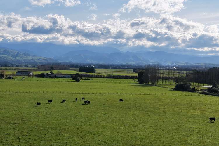 326 Cornwall Road East Taratahi_11
