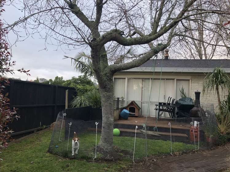 15 Tanglewood Place Cockle Bay_1