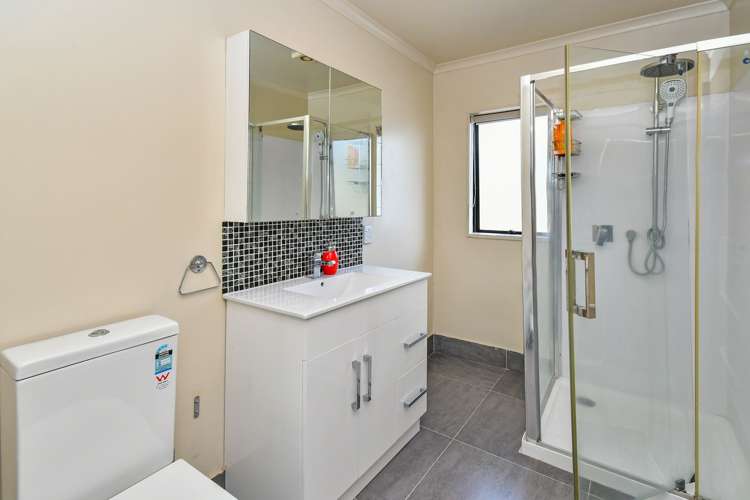 3 Ginko Place Mangere_10