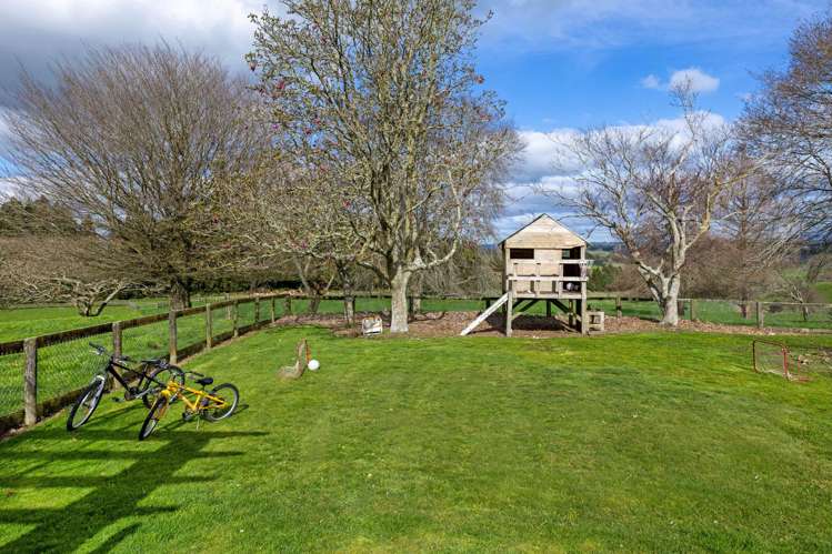 522 Waimanu Road Pukeatua_19