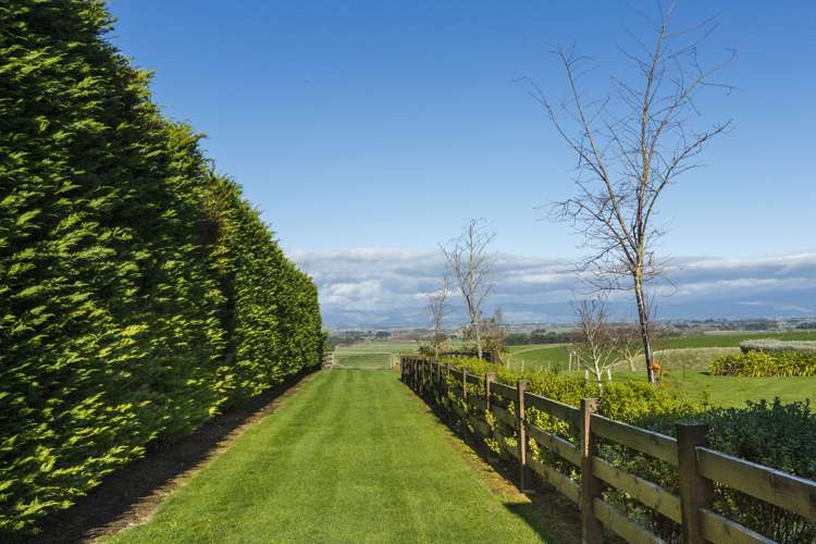 61 Sutherland Road Sanson_5