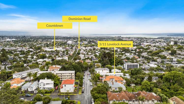 3/11 Lovelock Avenue Mount Eden_14