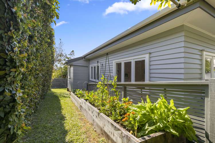 46 Meadowbank Road Meadowbank_29