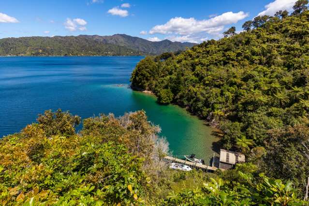 - Christys Bay Queen Charlotte Sound_4