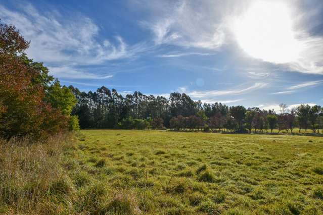 114 Tararua Drive Masterton_4