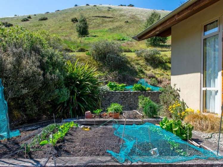 943 Taylor Pass Road Taylor Pass_17