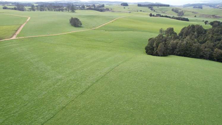 388 Matauri Bay Road Kaeo_27