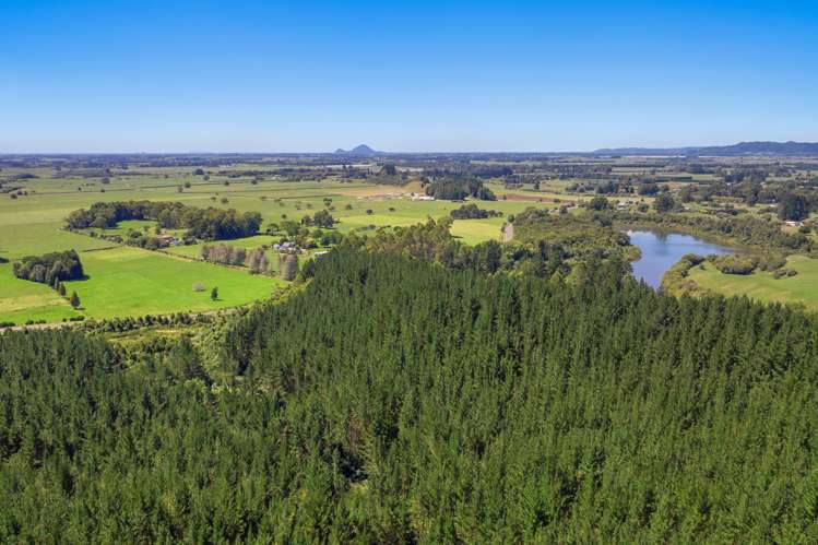 2805 State Highway 30 Rotoma_2