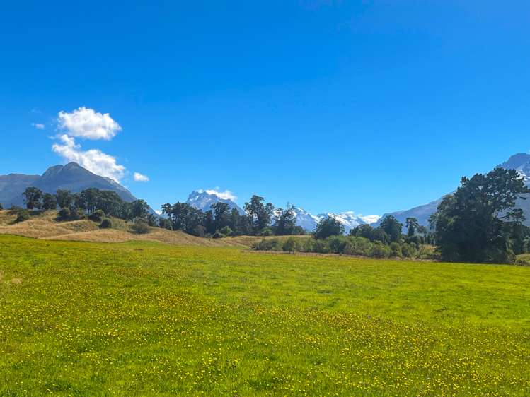 Dart River Island Glenorchy_17