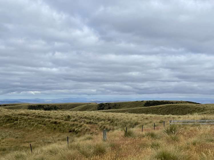 732 Beaumont Highway Clutha_6