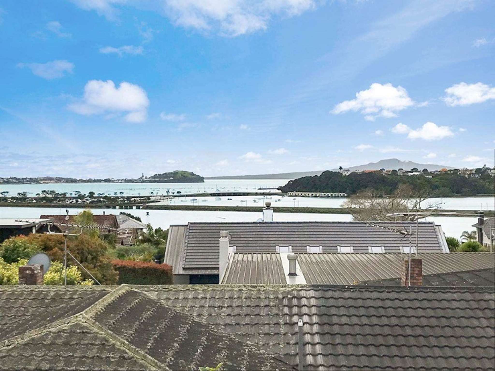 12 bidders in marathon scrap to buy do-up on Remuera's poshest street