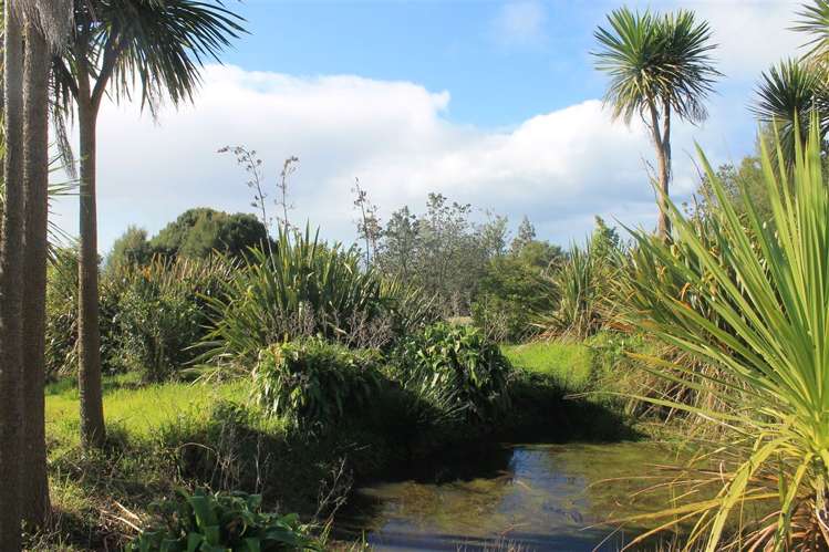 Wainui Road Whangaroa_5