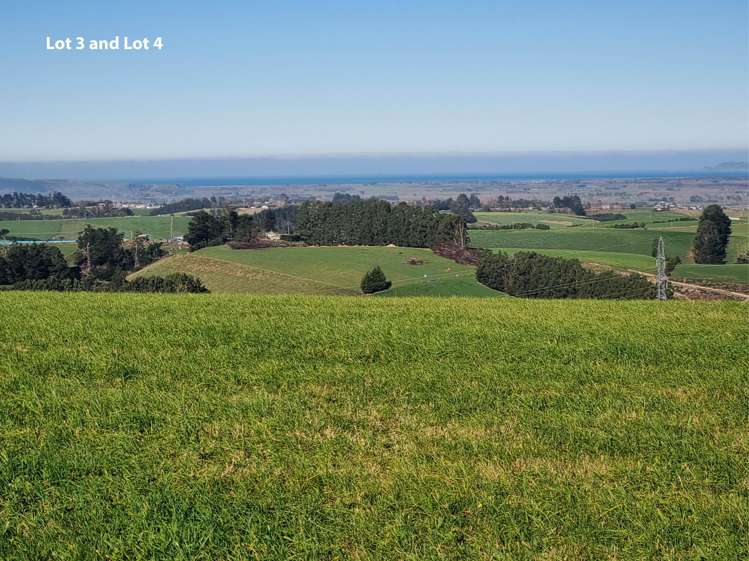 Cameron Road, Hillend Balclutha_11