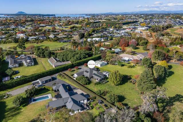 8b Astelia Drive Omokoroa_3