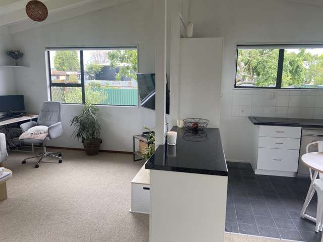 27a Lytton Street Feilding_2