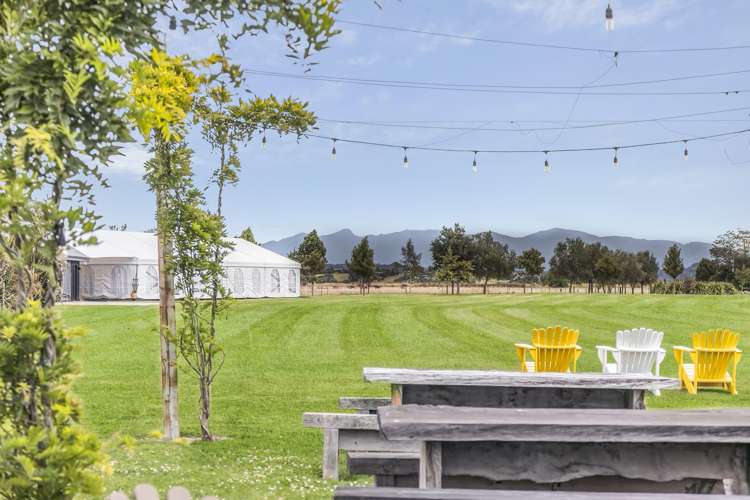 305 Redwood Road Tasman_3