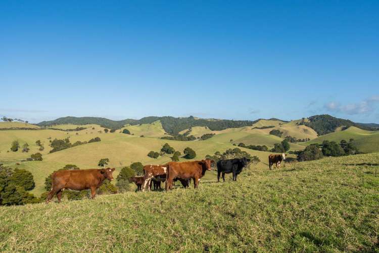 1133&1137 Matapouri Road Matapouri_23