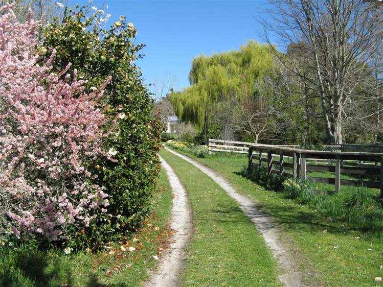 26 Greenhill Road Ngatimoti_42