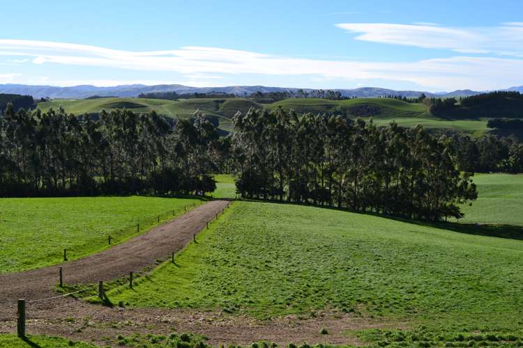 89 Brookstead Road Ngapara_6