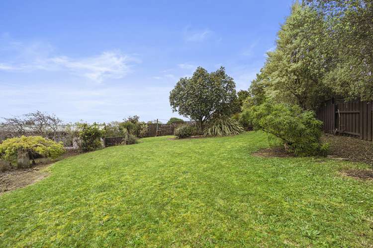 41 Prospect Avenue Tirau_24