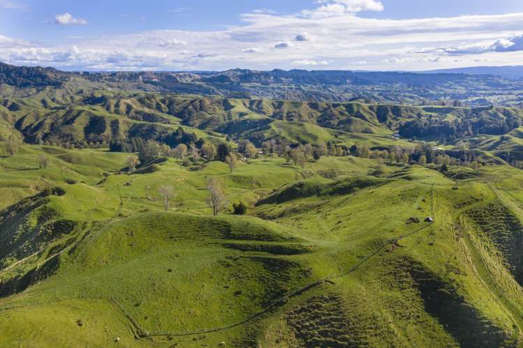 3099 State Highway 4 Te Kuiti_6