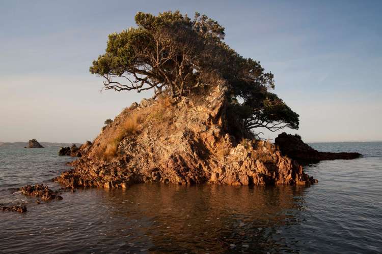 5 Upland Road Ōmiha_9