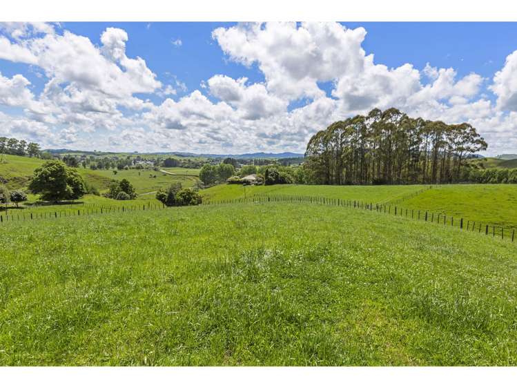 80 State Highway 3 Piopio_19