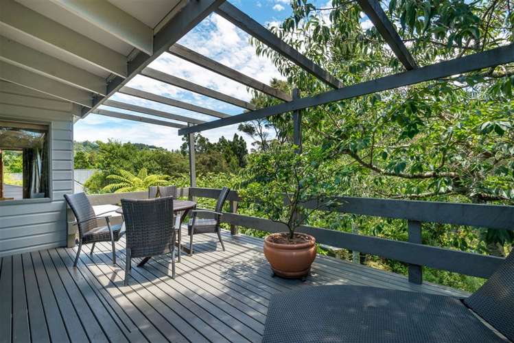 105 Daffodil Street Titirangi_13