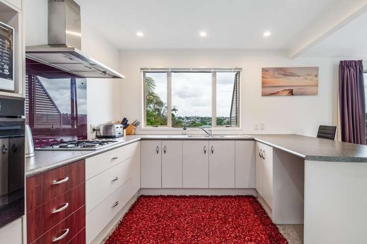 703A Hillsborough Road Mount Roskill_10