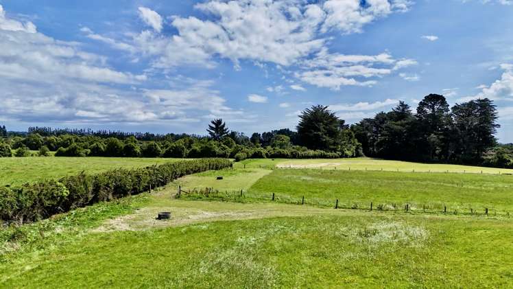 114 Dudley Road Upper Inglewood_2