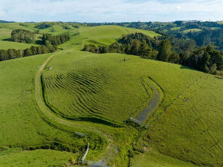 69 Fraser Road Kawakawa_5