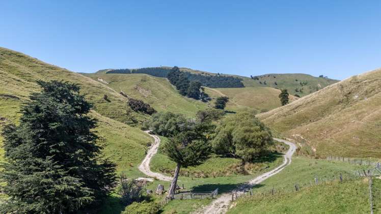 1823 Opaki Kaiparoro Road Mauriceville_16