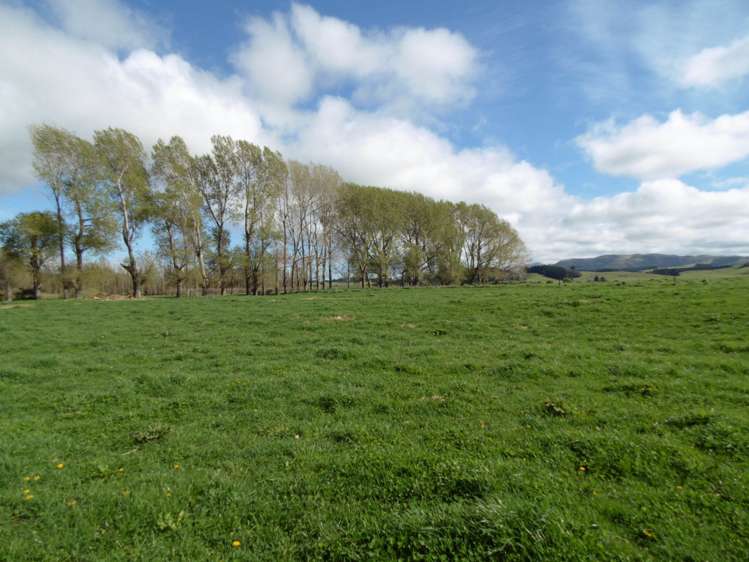 5326 Hampden-Palmerston Road Palmerston_16