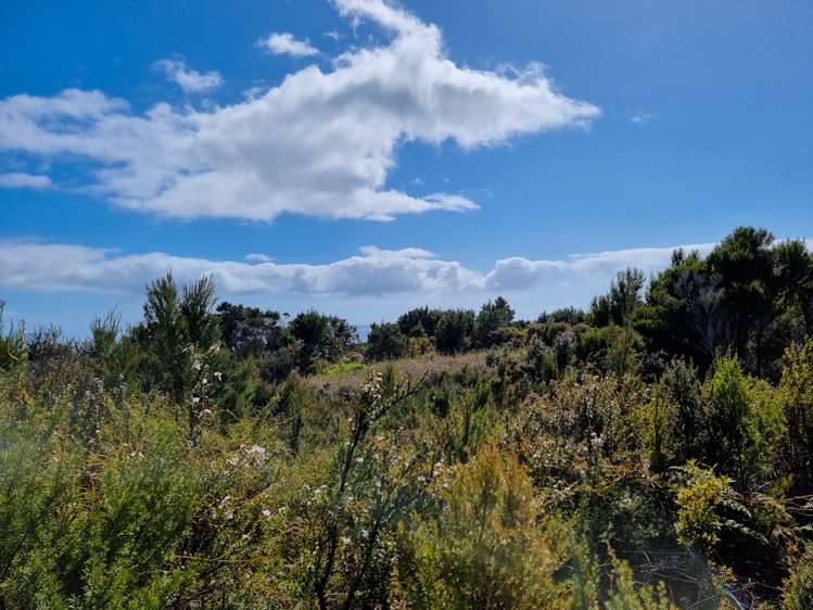 103 Stratford Drive Cable Bay_11