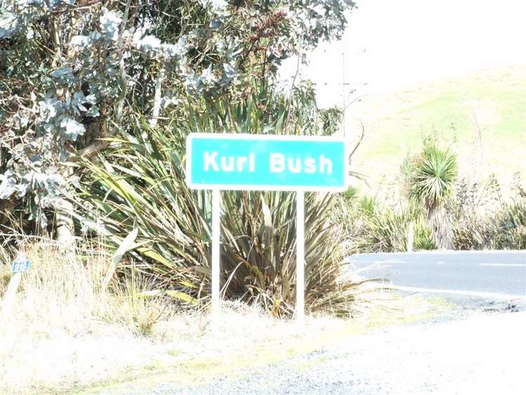 945 Taieri Mouth Road Kuri Bush_6