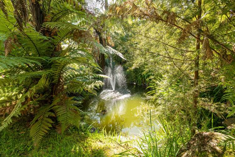 100 Bradford Street Waihi_12