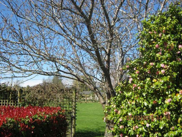 127 Main North Road Geraldine_6