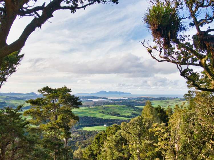 342 Cames Road Mangawhai_10