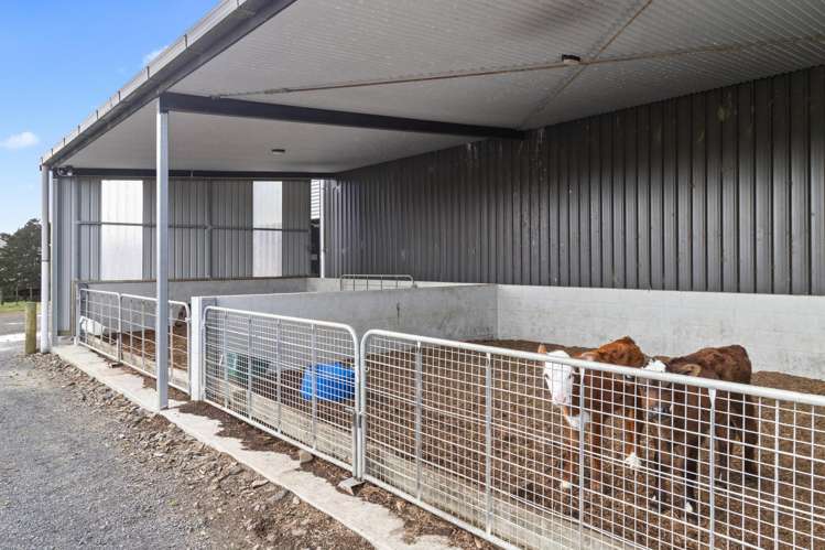 133 Heald Road Hunua_9