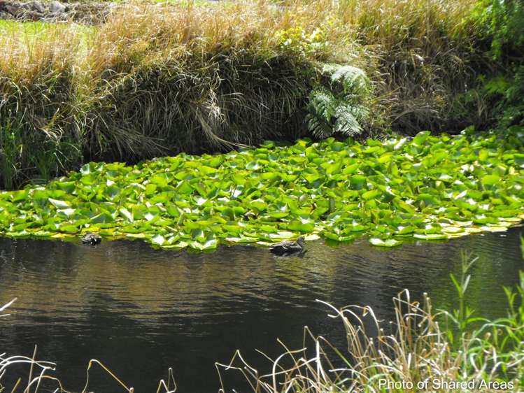 35 Alderton Drive Kerikeri_1