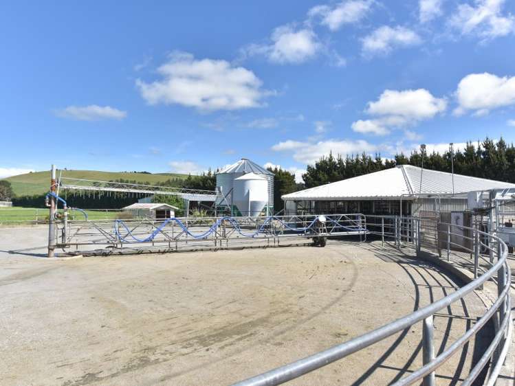 64 Lake Sumner Road Hawarden_4