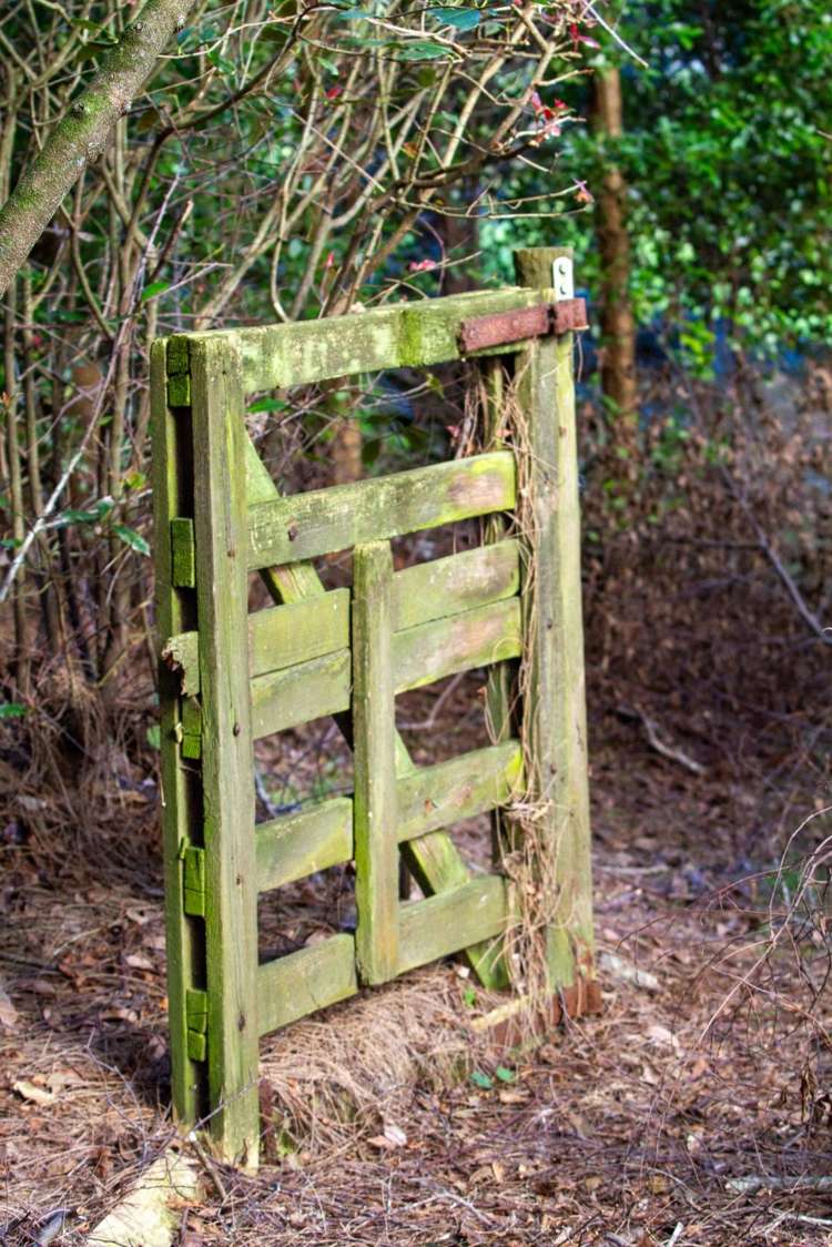 598c Wright Road Aongatete_23