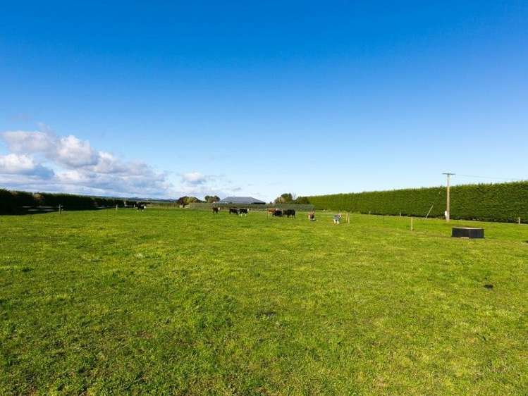 5881 Mountain Road Normanby_42